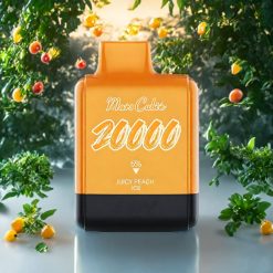 IJOY Mars Cabin 20000 Puffs Disposable Vape Juicy Peach Ice Suomi Tukku – 20ML, 50mg, TYPE-C Lataus