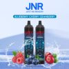 JNR VAPE FLAVOURS | jnr wolf niplo mustikka kirsikka karpalo AABB359