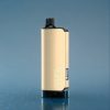 Suomi tukku Alibarbar Ingot 9000 Puffs 22ml Mustikka-Jää Vape 2350mAh LED Näyttö