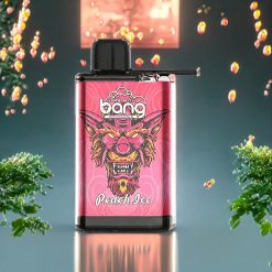 Suomi tukku Bang 28000 Puffs Disposable Vape Persikka Jää 30ml 650mAh
