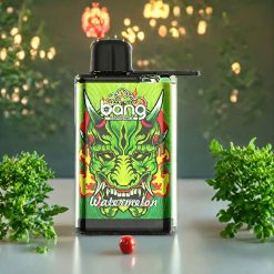 Suomi tukku Bang 28000 Puffs Disposable Vape Vesimeloni 30ml 650mAh