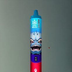 Suomi tukku Bang Beach 22000 Puffs 36ml 650mAh Disposable Vape Mustikka-Vadelma