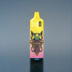 Suomi tukku Bang Box 12000 Puffs 23ML 650mAh TYPE-C Persikka Mango Vesimeloni