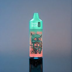 Suomi tukku Bang Box 12000 Puffs Vesi melooni purukumia 23ML 650mAh TYPE-C 0%-5% suola nikotiini