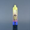 Suomi tukku Bang Box 20000 Puffs 35ml Mesh Coil 12 Flavors Kiivi Passiohedelmä Guava