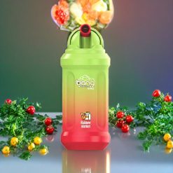Suomi tukku Bang King 12000 Puffs 23ml 650 mAh 0-5% Rainbow Sherbert Disposable Vape 1.2 Ohm Mesh Coil