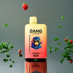 Suomi tukku Bang Leader 45000 Puffs Disposable Vape Mustikka-Arbuusi-Mansikka-Mango, Smart Screen Display, Type-C USB, Dual Flavor 2-in-1