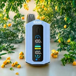 Suomi tukku Bang Leader 50000 Puffs Disposable Vape 13400mAh Banaani-Jää Mango 2-in-1