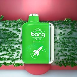 Suomi tukku Bang Pulse 18000 Puffs Disposable Vape Vesimeloni Jää Type-C 650mAh 26ml Mesh Coil 1.0 ohm