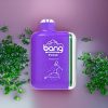 Suomi tukku Bang Pulse 18000 Puffs Disposable Vape Viinijää (Grape Ice) - Type-C, 650mAh, 26ml