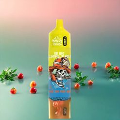 Suomi tukku Bang Tornado 12000 Puffs 23ml 650 mAh Disposable Vape Persikka-Jää