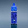 Suomi tukku JNR Alien Pod 13000 Puffs 850mAh Type-C Vape Mustikka Ja Jää 20ml Mesh Core POD MOD 10PCS/PACK