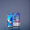 Suomi tukku JNR Falcon 16000 Puffs 850mAh 22ml Dual Mesh Coil Mustikka granaatti jää