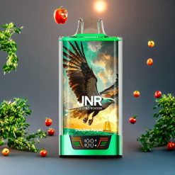 Suomi tukku JNR Falcon Pro 28000 Double Apple 28000 Puffs 30ml Smart Screen Type-C