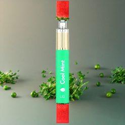 Suomi tukku LIO BEE Disposable Vape Cool Mint 650mAh 3.5ml Suomi tukku LIO BEE Disposable Vape 1000mAh 5.0ml