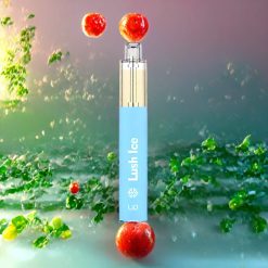 Suomi tukku LIO BEE Disposable Vape Lush Ice (Jäämarja) 650mAh / 3.5ml