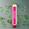 Suomi tukku LIO NANO X2 800 Puffs Disposable Vape Villimarja Mojito – 500mAh, 2ml, 0mg/16mg/19mg